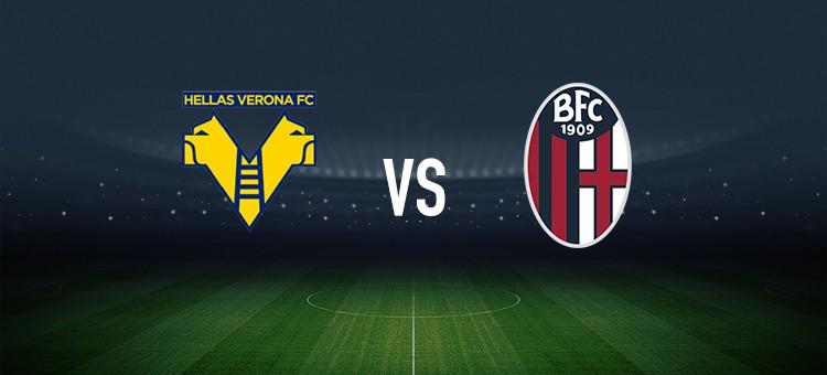 与模拟对局 与模拟对局